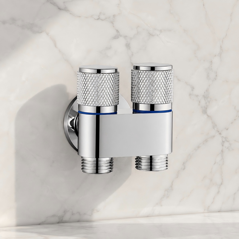 Dual-Purpose Angle Valve